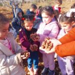 Tohum Topu_Kilis Mert Özkan Anaokulu_2