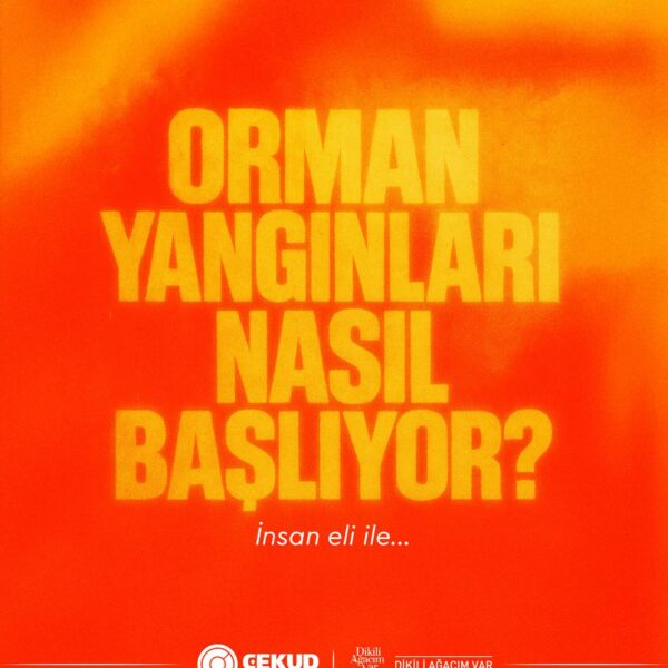 Orman Yangınları Nasıl Başlıyor?