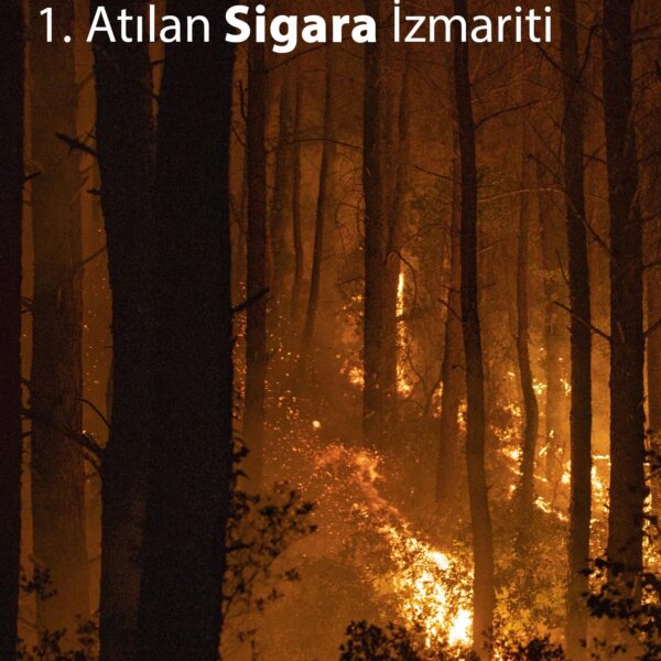 Atılan Sigara İzmariti