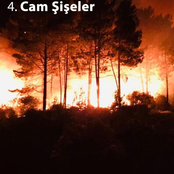 Cam Şişeler