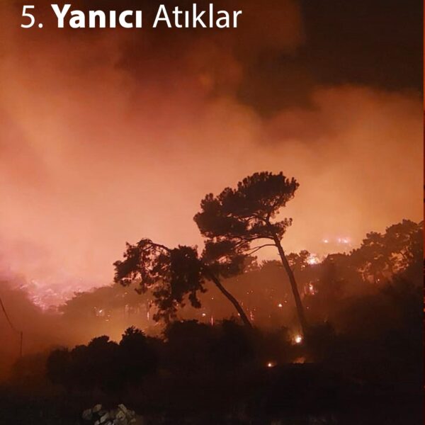 Yanıcı Atıklar