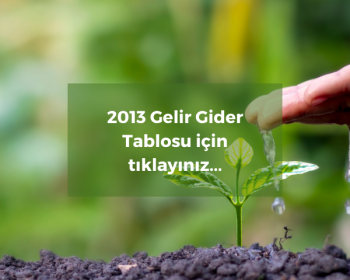 2013 Gelir Gider Tablosu (2)