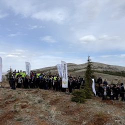 ÇEKUD 2025 FİDAN DİKİMİ 12.04.2025 (ERDEMLİ NADİDE 1 - Ali Ağar