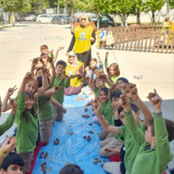 Ekran Alıntısı