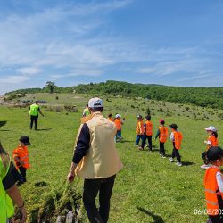 Fidan Dikimi (11)