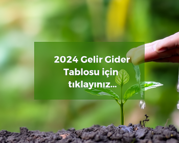Gelir