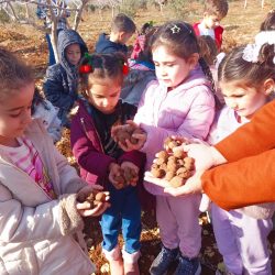 Tohum Topu_Kilis Mert Özkan Anaokulu_2
