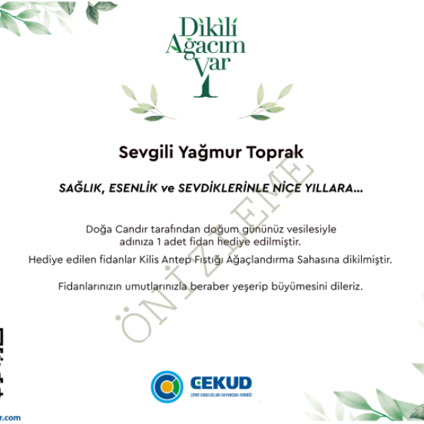 doğum günü
