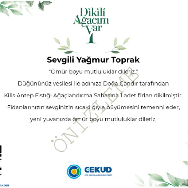 evlilik