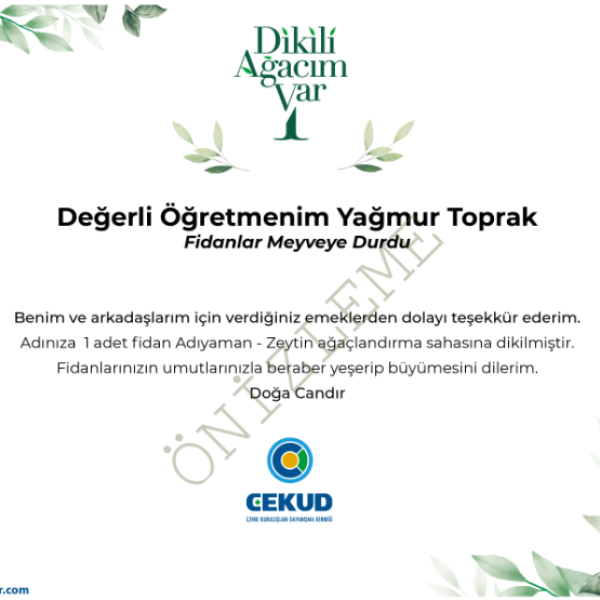 öğretmen