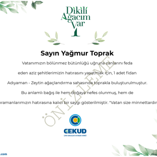 şehit